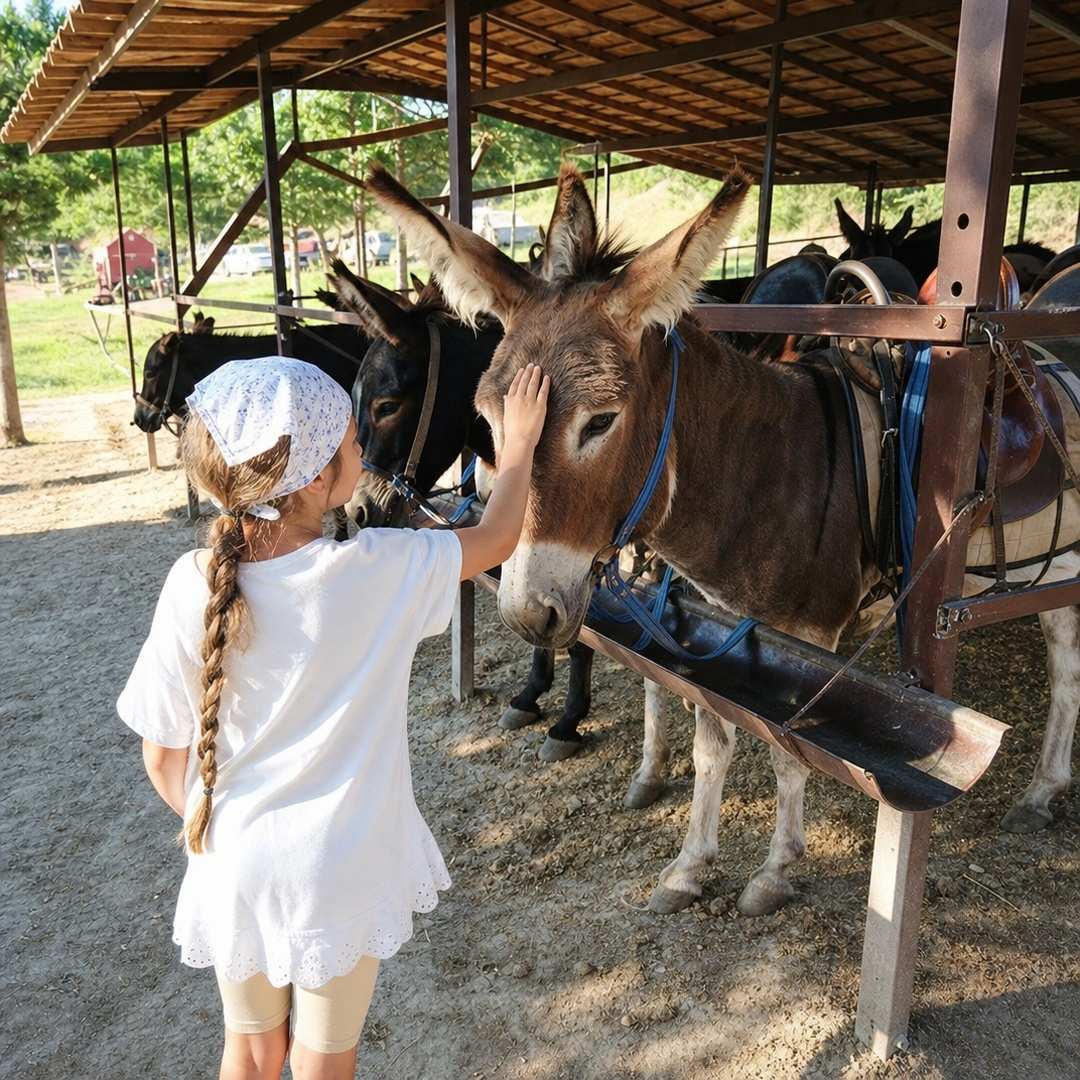 Прогулка на осликах, фото 5